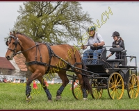 2POSIEUX 0410